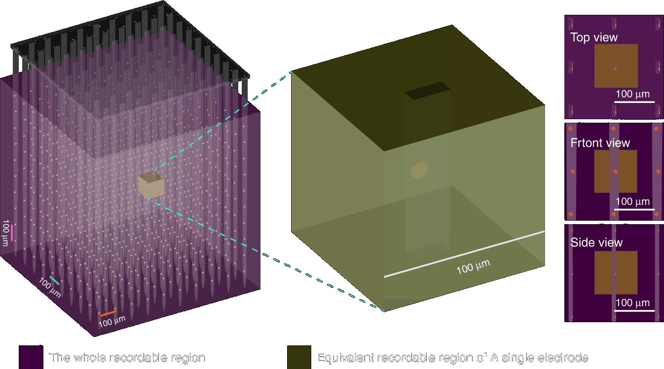 UCAS | Implantable Intracortical Microelectrodes