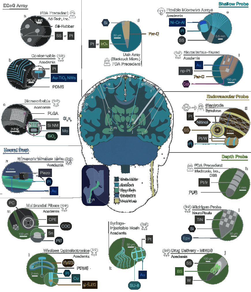 MIT Media Lab | Neuroimplatable Devices